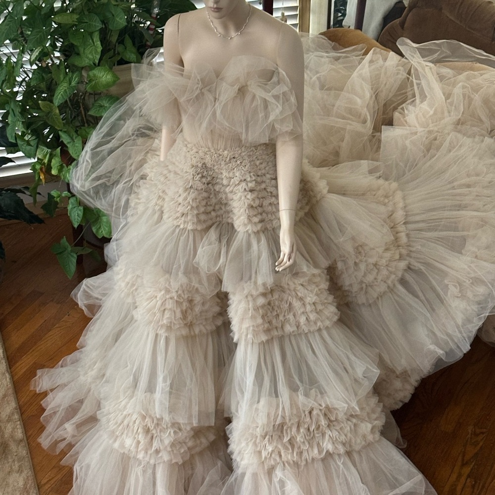 Elegant Cream Tulle Gown

Zuhair MuradRuffled Tulle Wedding Dress Size 8 - Picture 8 of 16